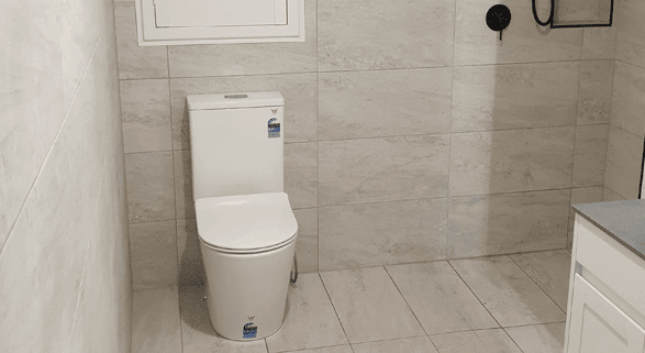 Common Toilet Plumbing Problems and How to Fix Them